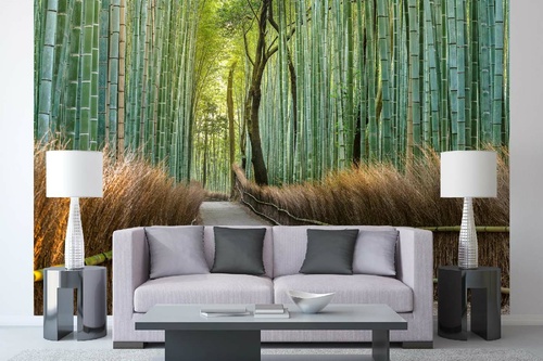Vlies Fototapete - Pfad durch einen Bambuswald in Japan 375 x 250 cm